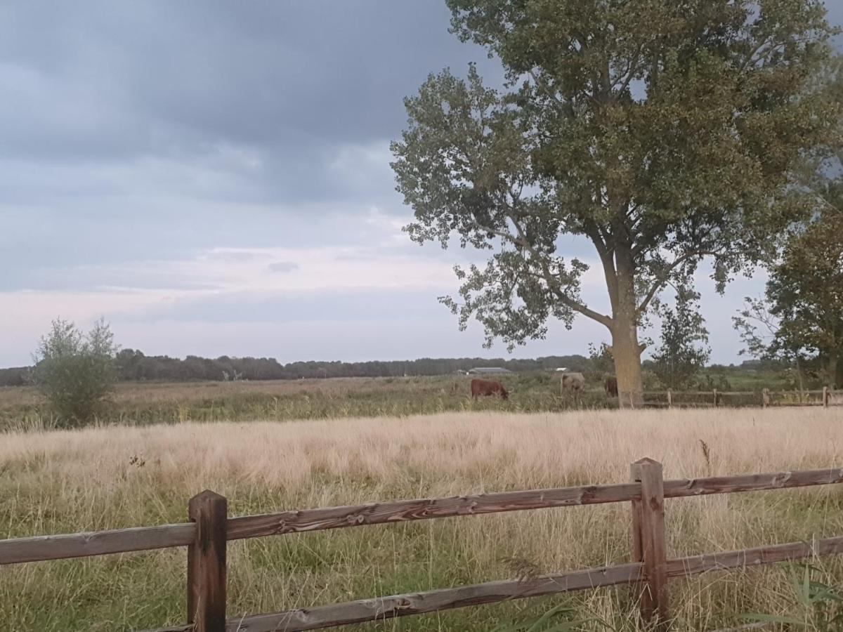 Cottage Geestmerambacht, Een Nieuw Vrijstaande Sfeervol En Landelijk Gelegen Vakantiewoning Koedijk Dış mekan fotoğraf